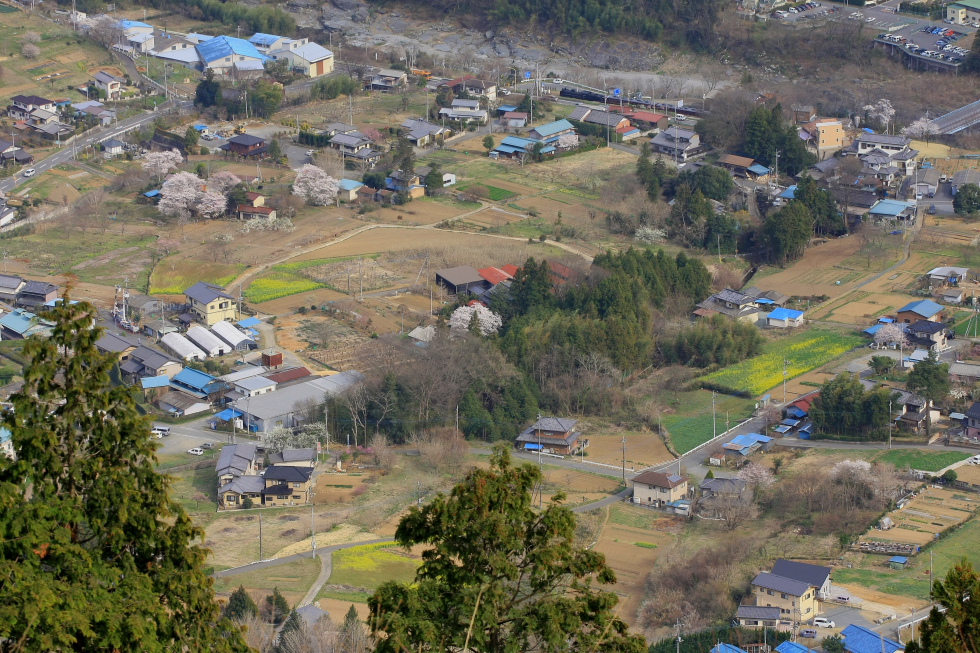 春・色とりどり - 2012年・秩父 -_b0190710_23123290.jpg