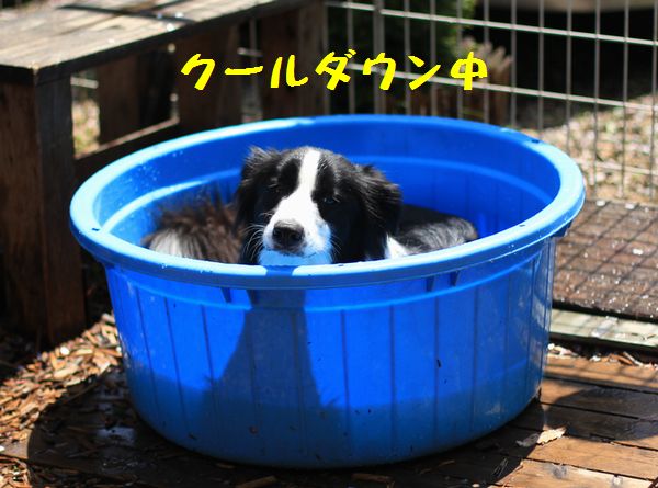 お誕生会_d0224111_7181663.jpg