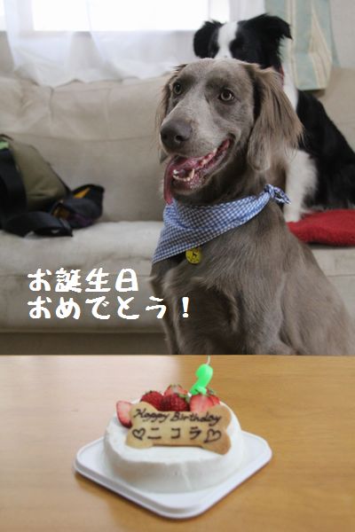 お誕生会_d0224111_7194675.jpg