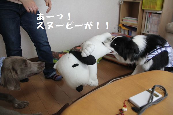 お誕生会_d0224111_7214623.jpg
