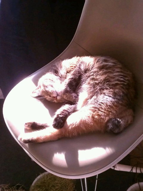 e0103211_20111.jpg