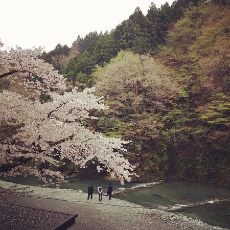 4月18-25日(水曜日~水曜日)_a0036513_21521180.jpg