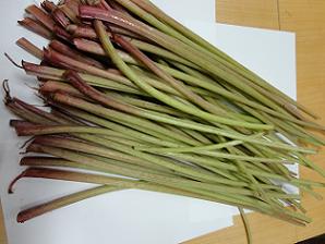 ふき_f0206213_1459753.jpg
