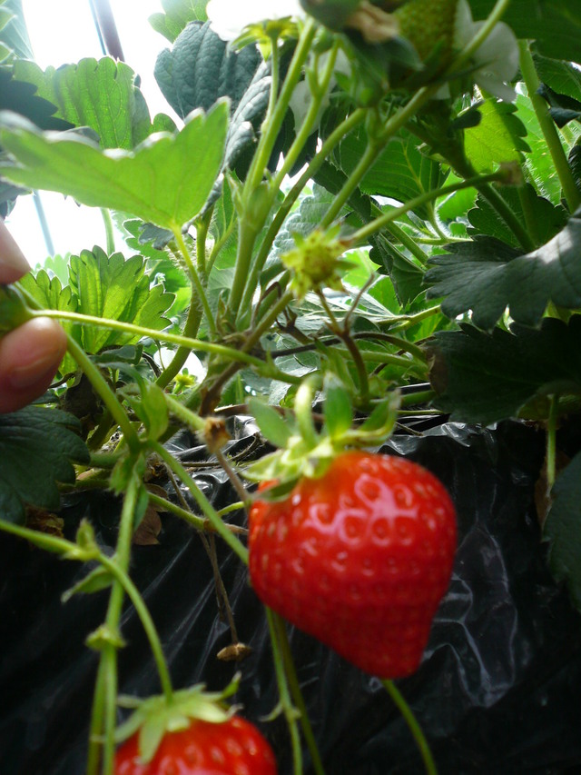 f0163920_23201699.jpg