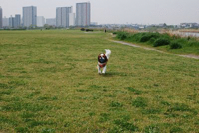 f0214121_20353148.gif