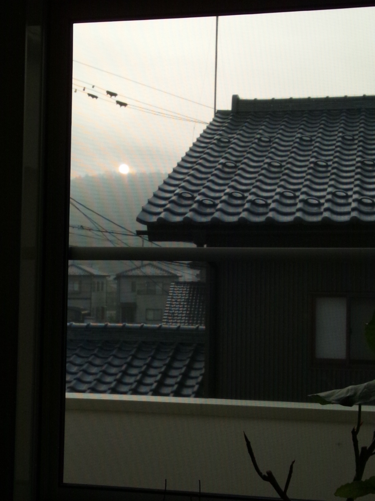 b0097729_6341188.jpg