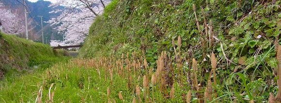 b0191932_19141384.jpg