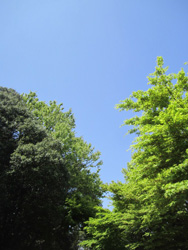 f0038336_6585484.jpg