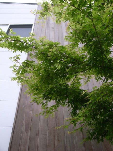 f0176239_1284922.jpg