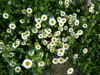 b0200240_21292657.jpg