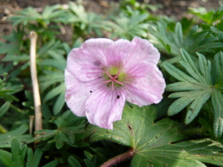 b0200240_2129568.jpg