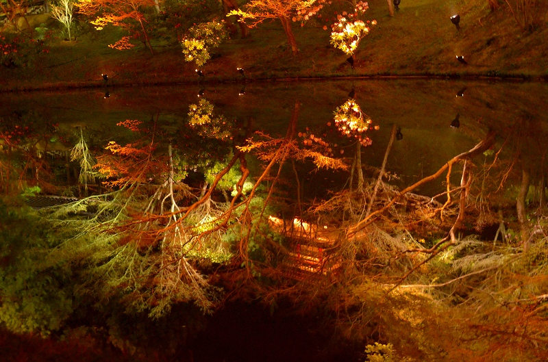 c0220040_22392792.jpg