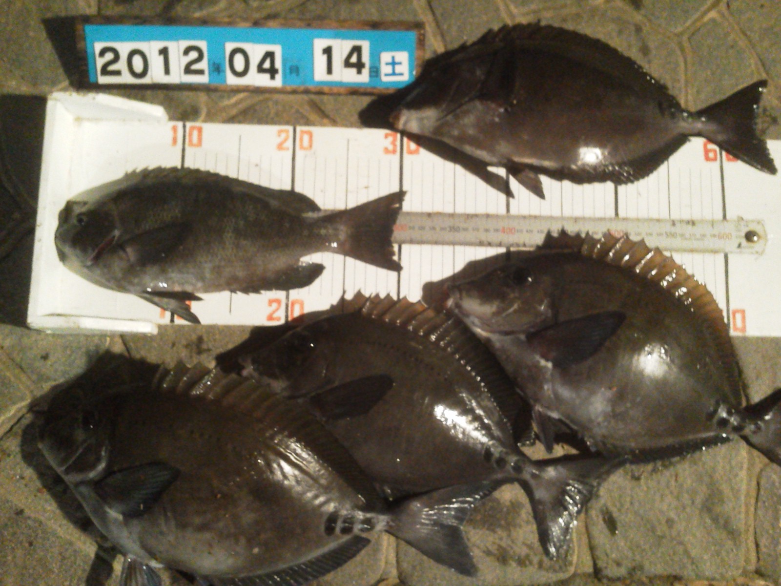 c0149247_23414778.jpg