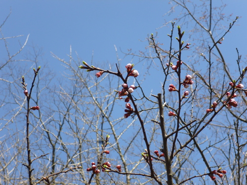 b0238249_19531130.jpg