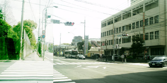 e0033751_165118.jpg
