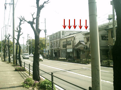 e0033751_1672056.jpg