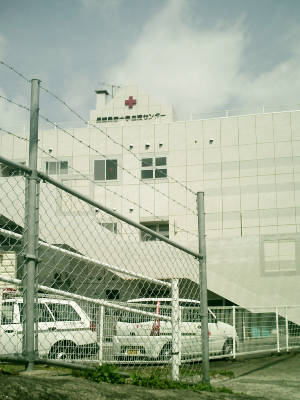 e0033751_1725249.jpg