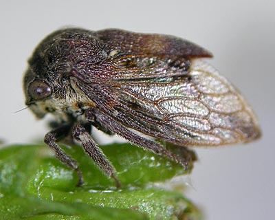 e0035757_18215060.jpg