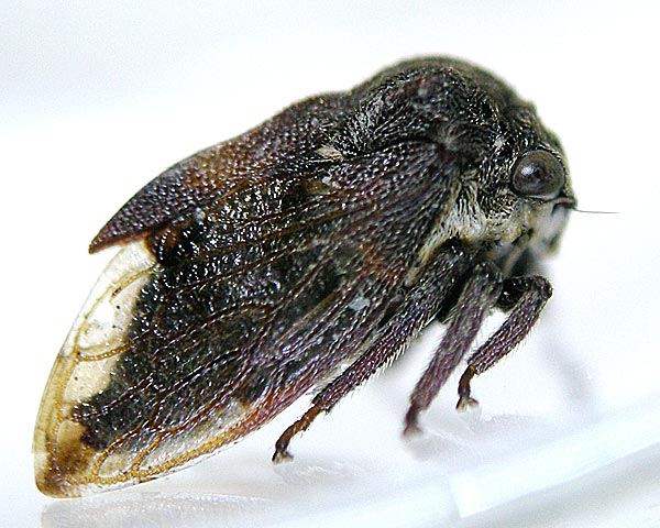 e0035757_18234049.jpg