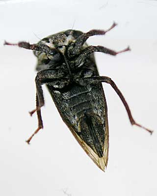 e0035757_18243293.jpg
