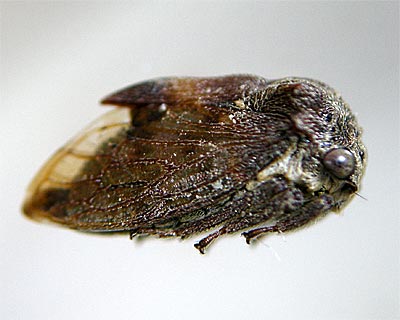 e0035757_18251639.jpg