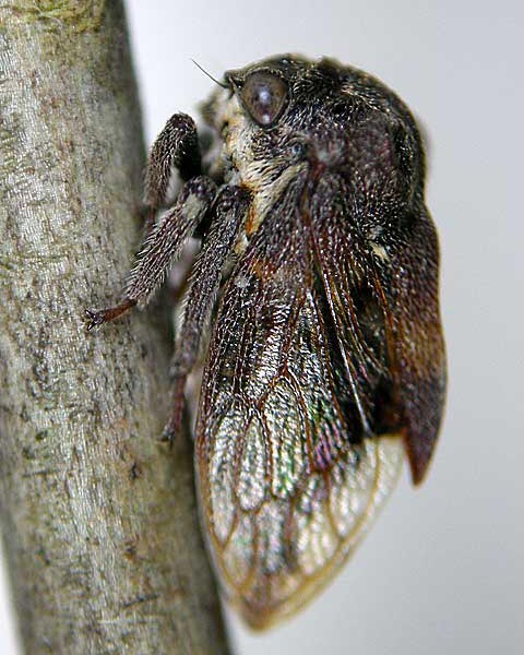 e0035757_18255342.jpg