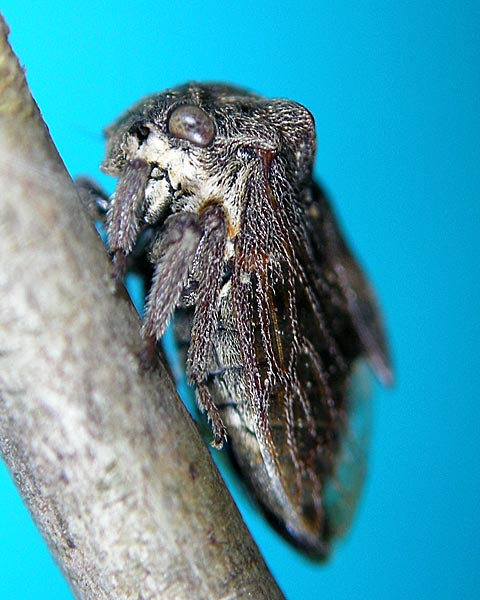 e0035757_18311189.jpg