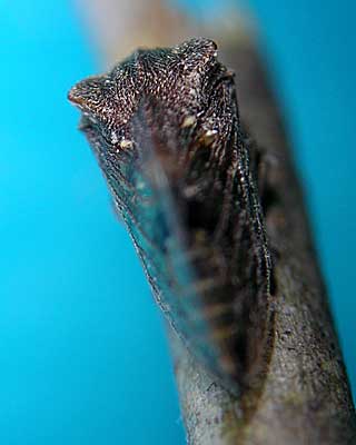 e0035757_18314298.jpg