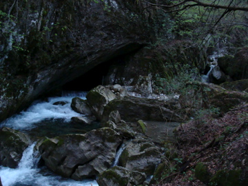 a0155659_67510.jpg