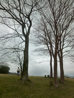 HAKONE その4 雨のクラシックホテル♪♪_a0165160_6155743.jpg