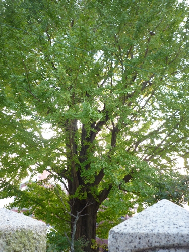 c0222861_1382571.jpg
