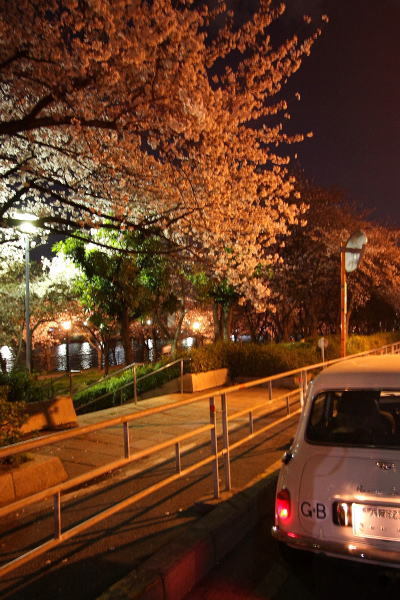 SAKURA　～桜の散歩～3_e0155066_1131514.jpg