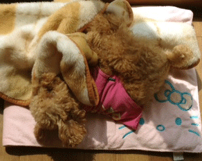 c0196673_13381468.gif