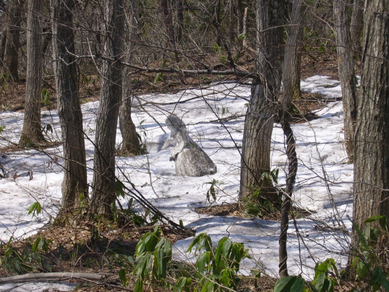 c0198781_22123837.jpg