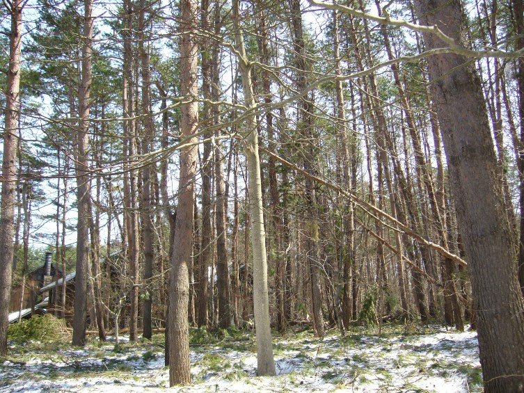 c0198781_2271211.jpg