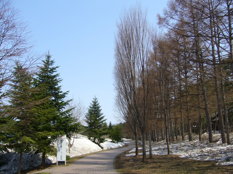 c0198781_2275229.jpg