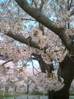 b0125384_1038383.jpg