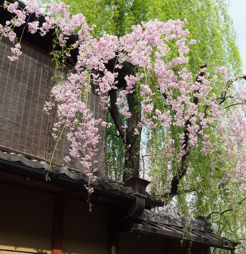c0229384_1064118.jpg
