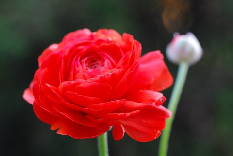 a0240085_1711771.jpg