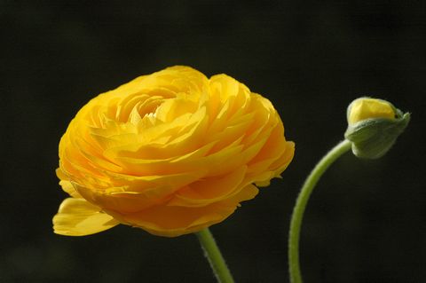 a0240085_1733346.jpg