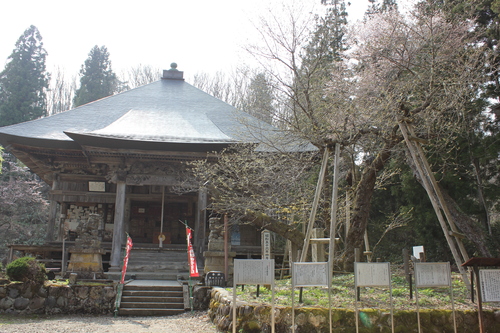 会津の五桜を取材してきました~♪part.2_d0250986_18132087.jpg