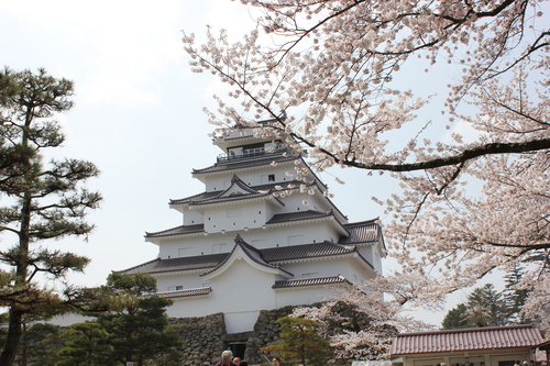 会津の五桜を取材してきました~♪part.2_d0250986_18211733.jpg