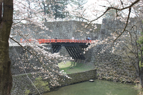 会津の五桜を取材してきました~♪part.2_d0250986_18221889.jpg