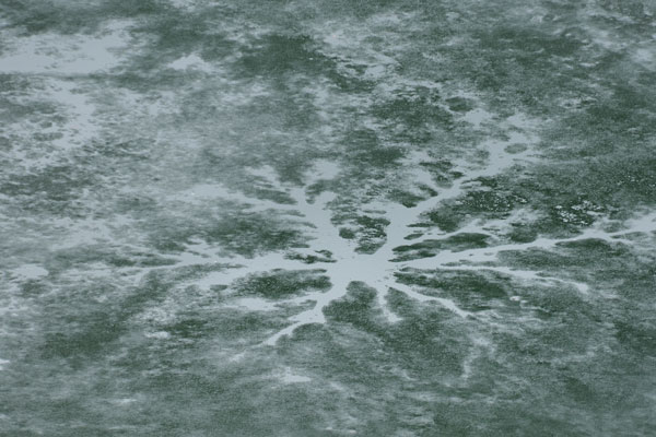 f0212586_7494199.jpg