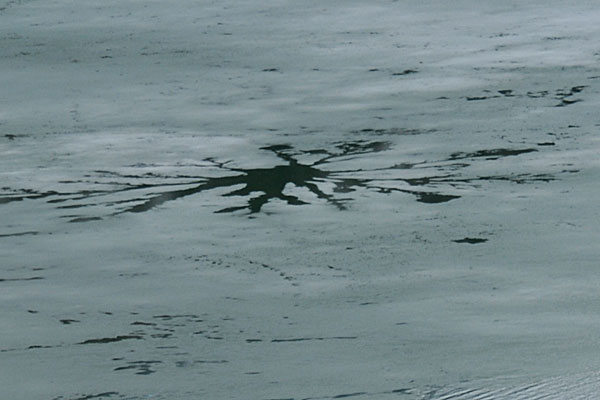 f0212586_750755.jpg
