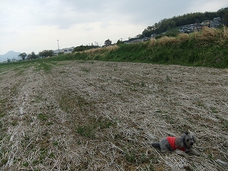 e0150989_23282336.jpg