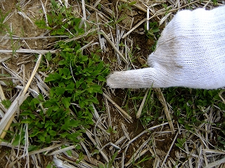 e0150989_23313010.jpg