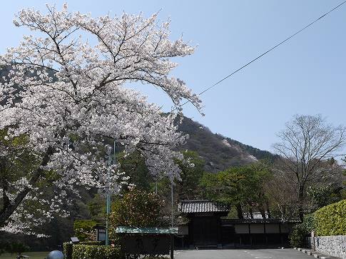 e0243390_20412518.jpg