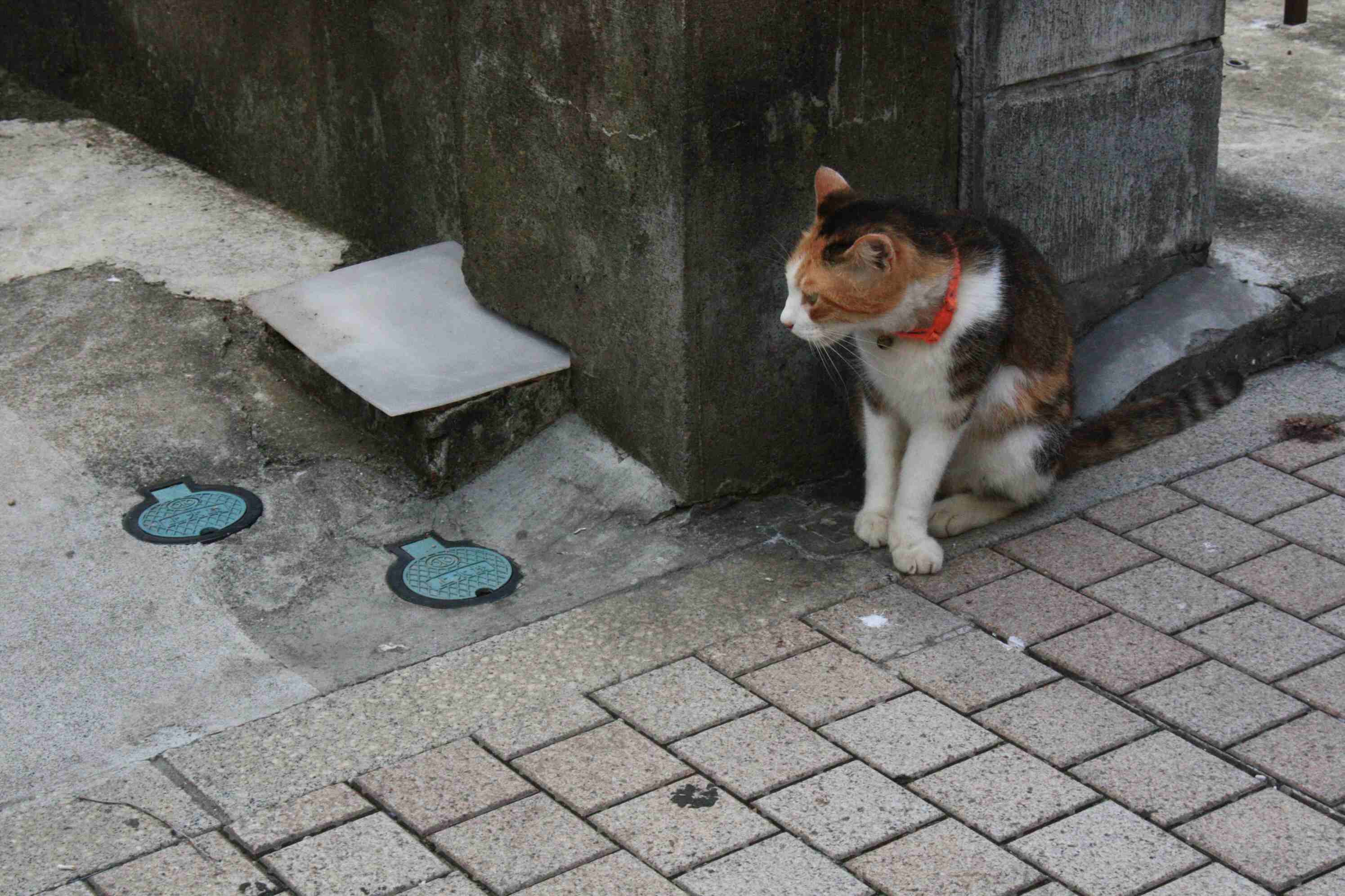 内なる神との対話、私から私へ_b0034892_10411188.jpg