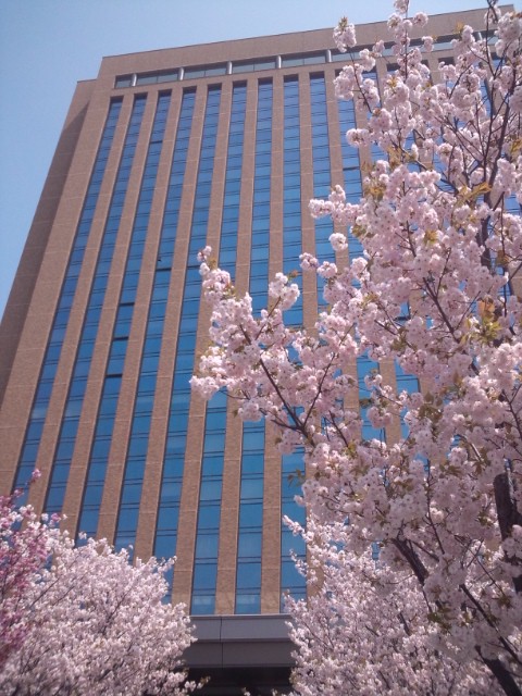 a0045193_1742771.jpg